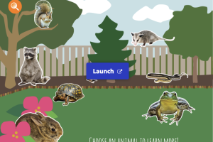 Backyard Animals | Everyday Learning PBS Learning Media